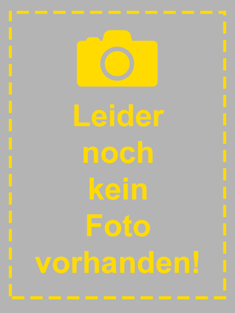 RFS Reitlehrerin Anne Melchior RFS Reitlehrerin Anne Melchior